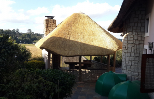Thatching